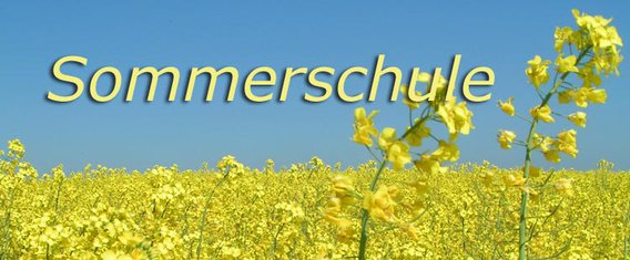 Sommer an der Küste Sommerschule